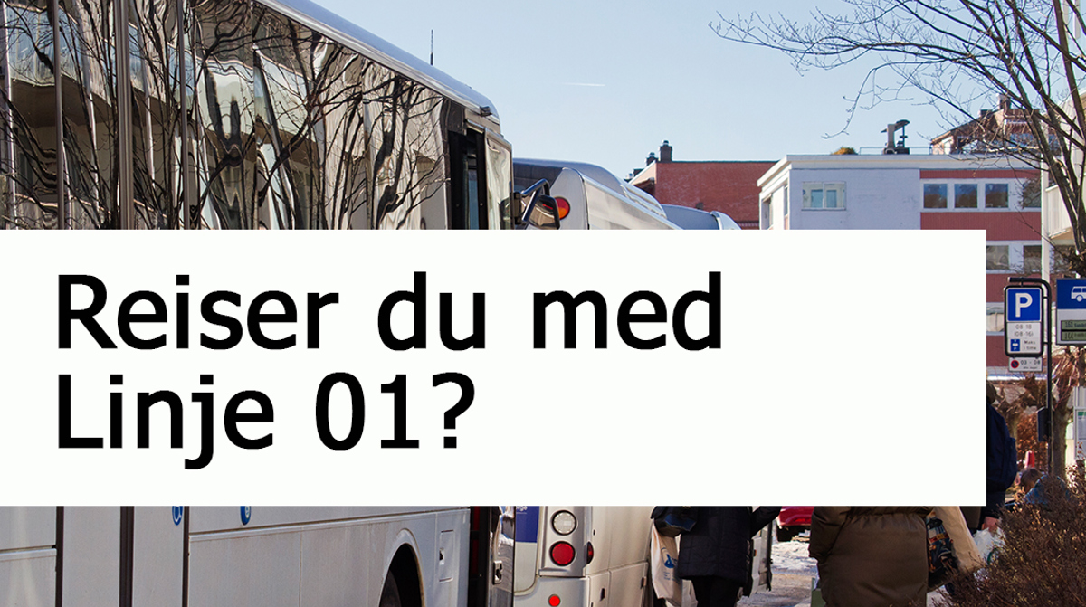 Reiser Du Med Linje 01