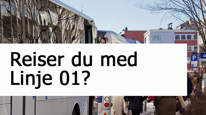 Reiser Du Med Linje 01