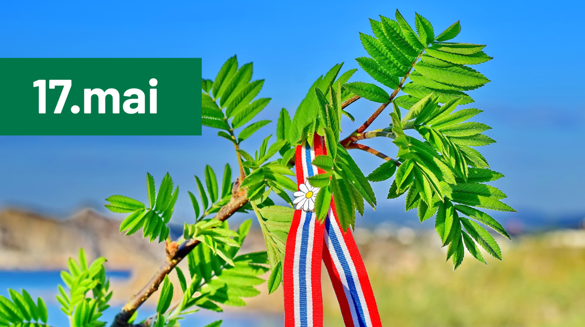 17.Mai(1)