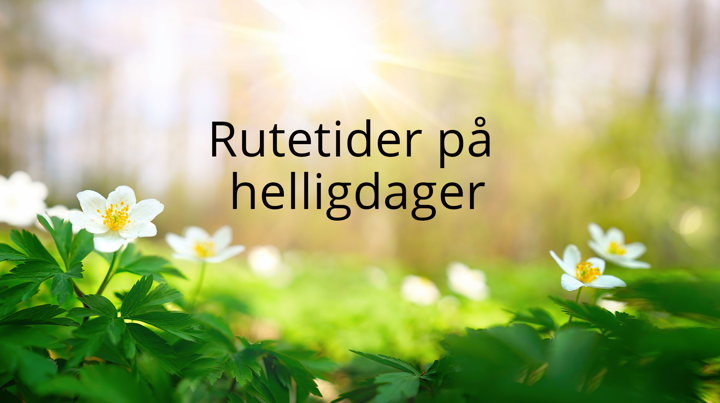 Mai Rutetider