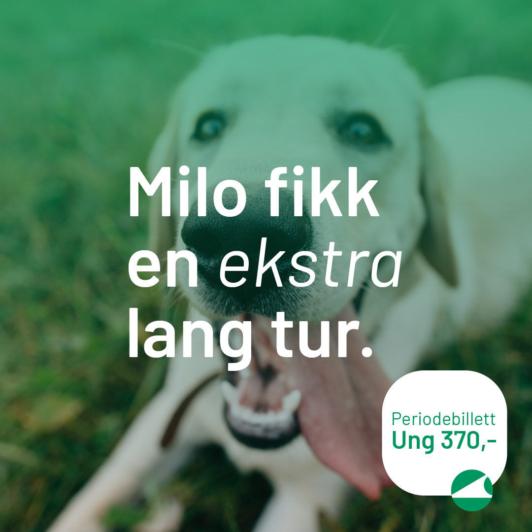 Du rakk en lang tur med hunden