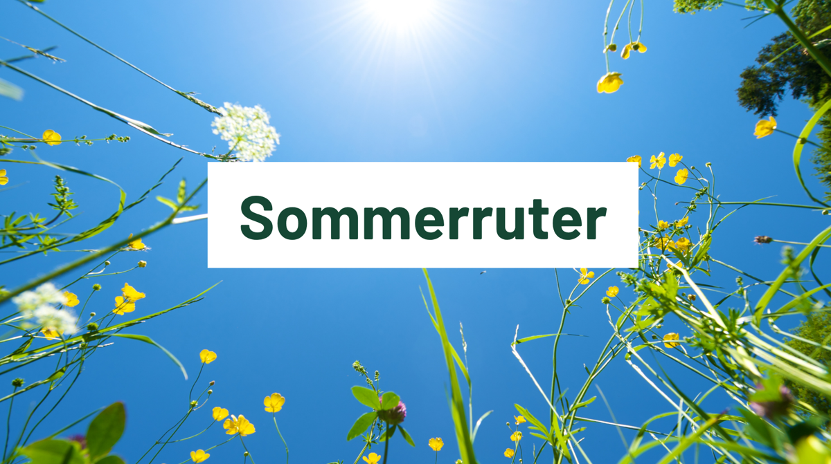 Sommerruter Nettside