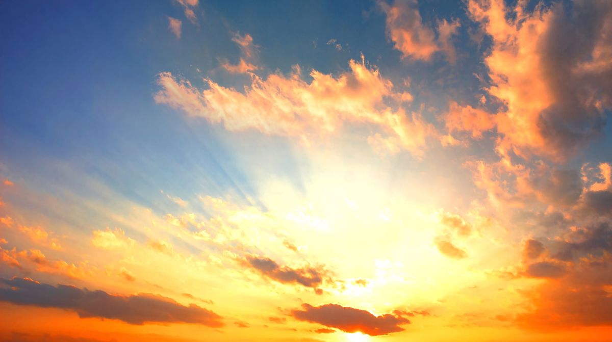 Sol
