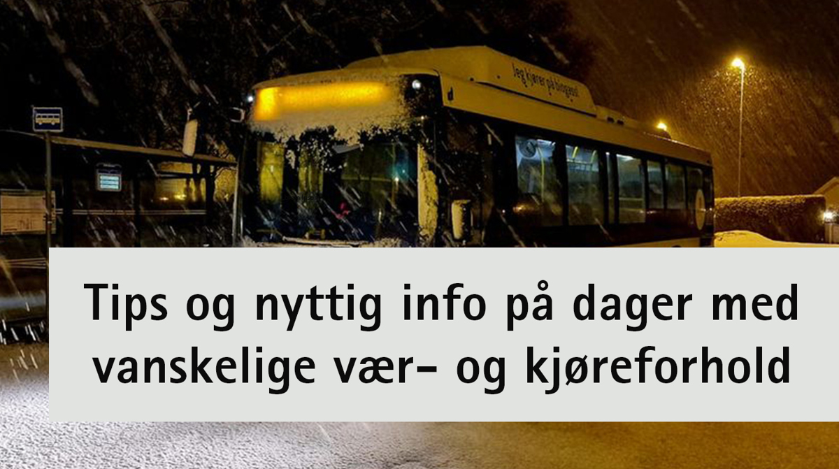 Tips Snodager No2