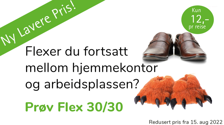 Flex 3030 Nettside 15 August