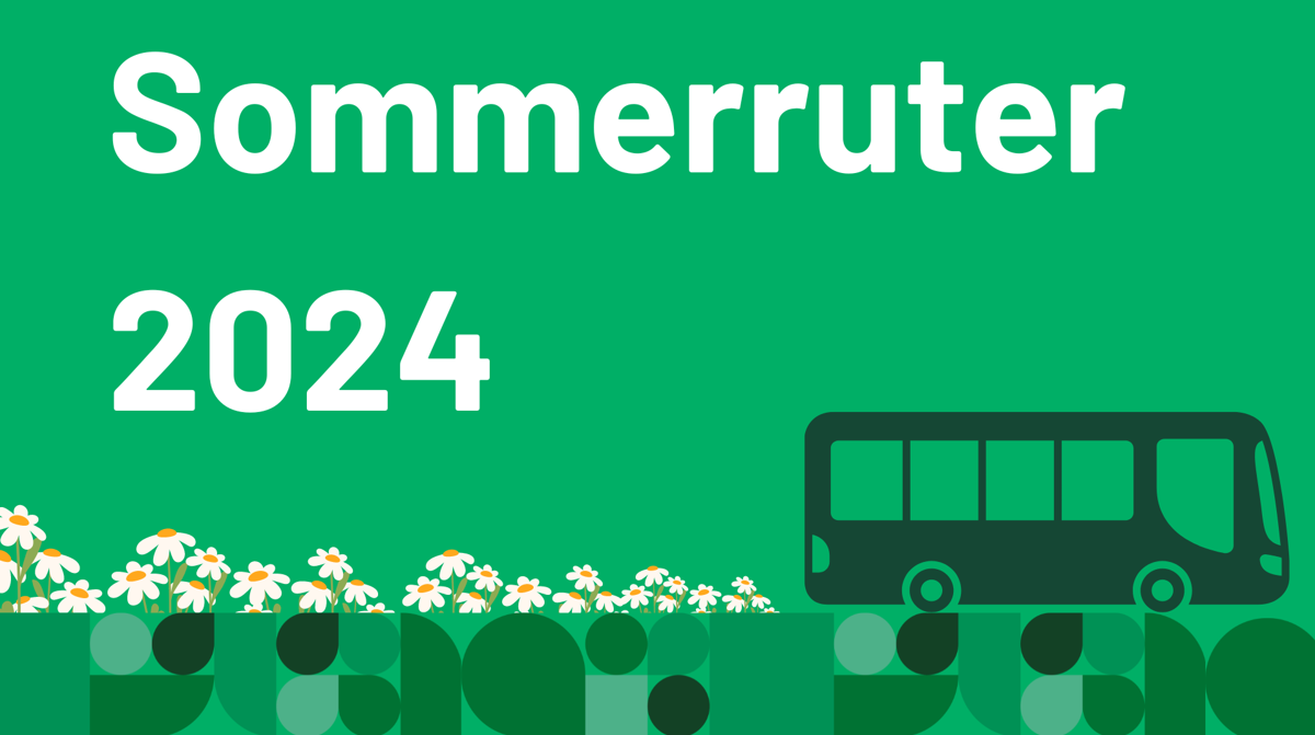 Sommerruternettside