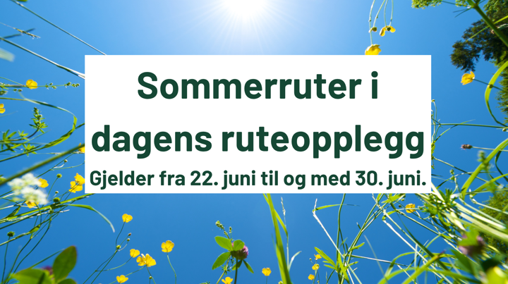 Sommerruter 2026 Nettside