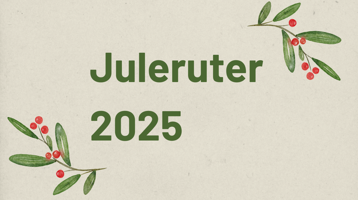 Juleruter Vkt.No 2025