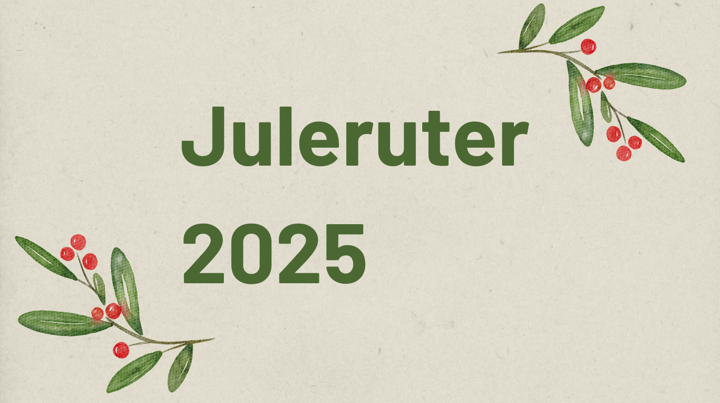 Juleruter Vkt.No 2025