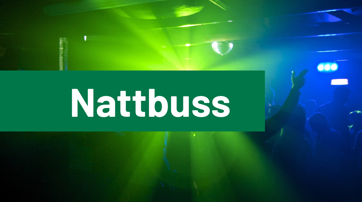 Nattbuss Host