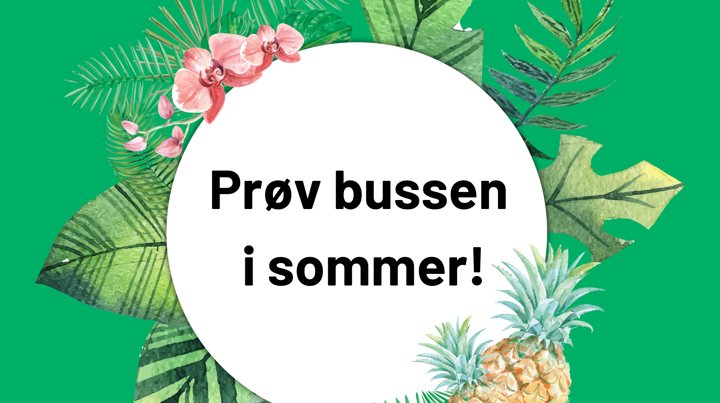Prøv Bussen I Sommer Vkt.No