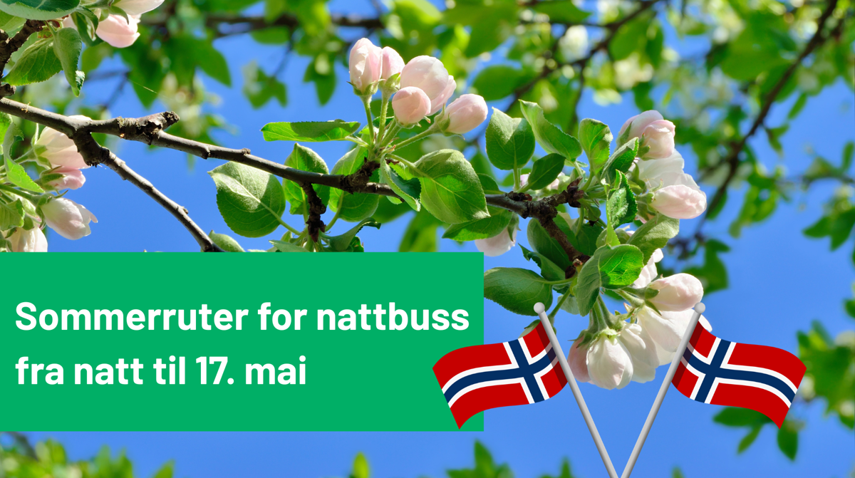 2026 17 Mai Nattbuss