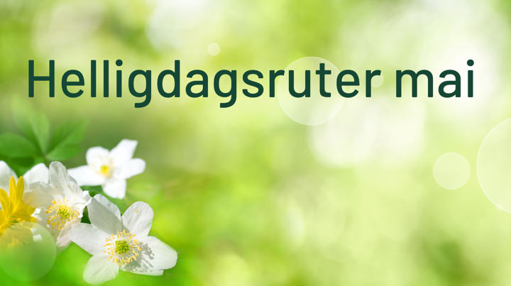 Helligdagsruter Mai 2024