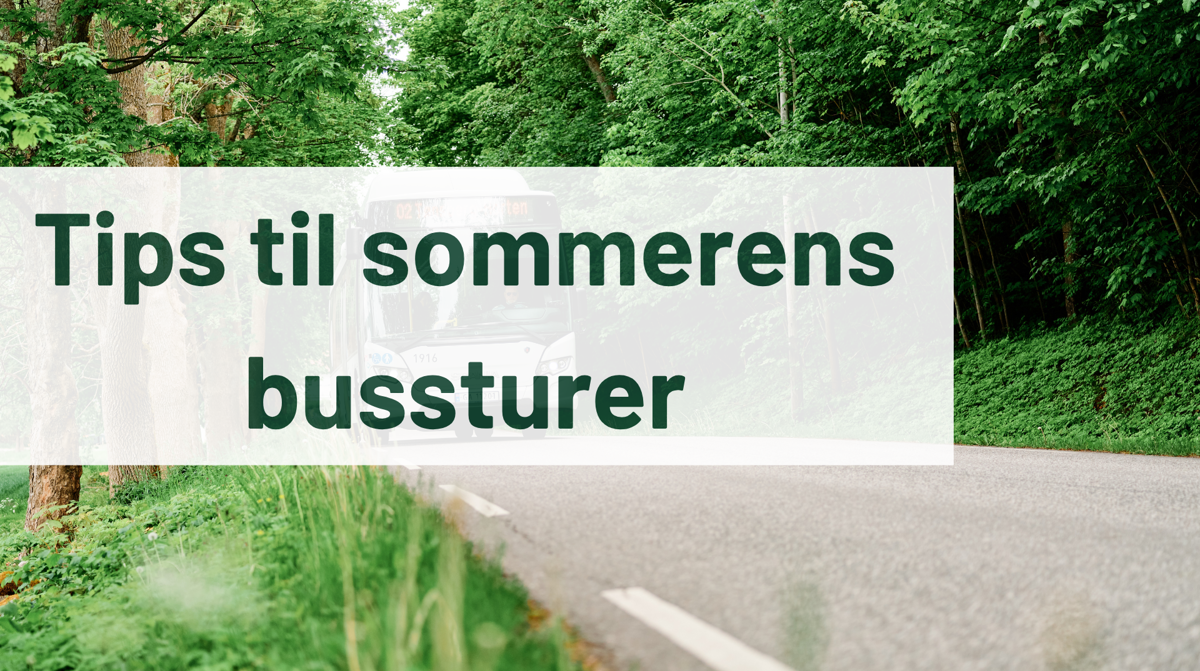 Sommertips Nettside(1)