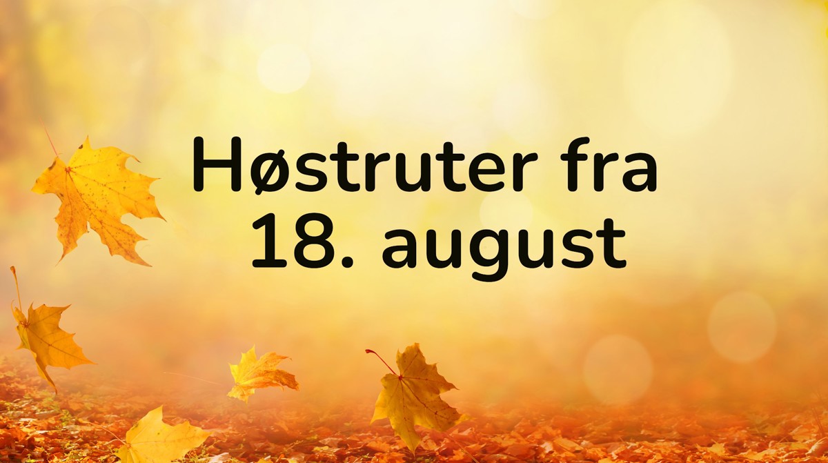Hostruter 2021