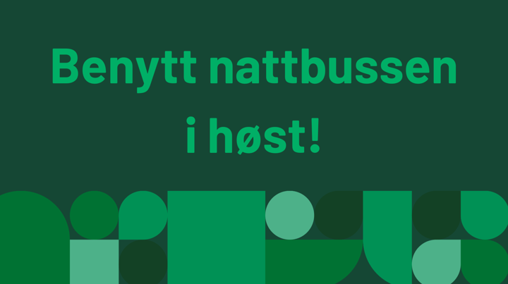 Ta Nattbussen Hjem!