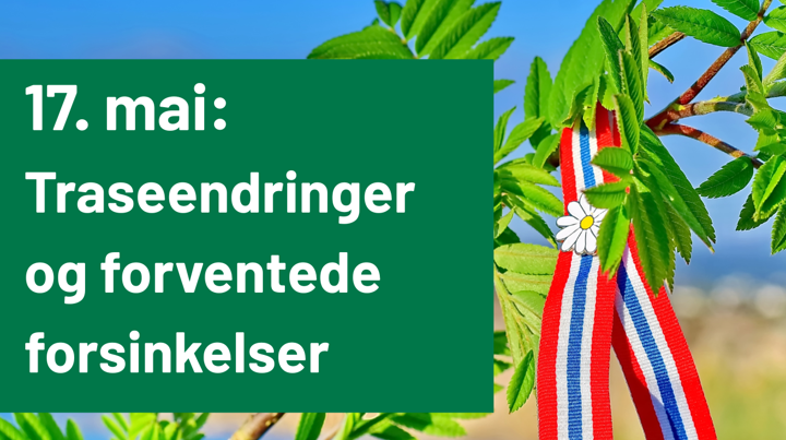 17 Mai Avvik