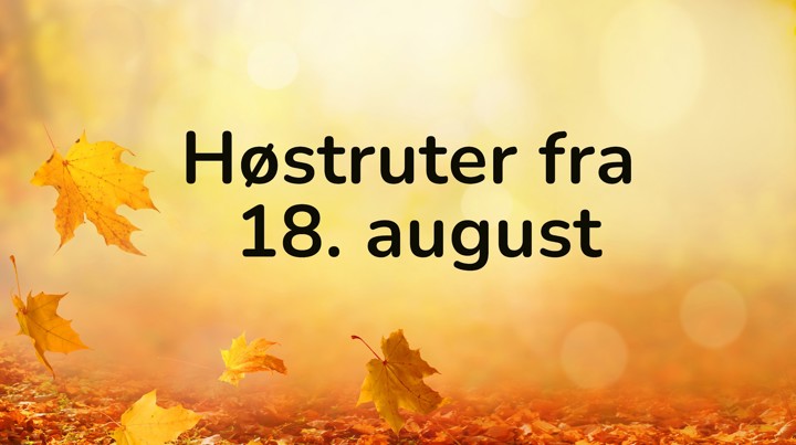 Hostruter 2021